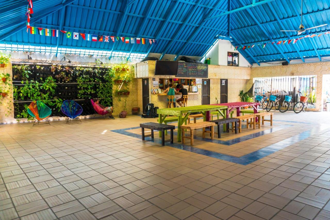 Wonderland By Gb Collection Hostel Cartagena Exterior photo